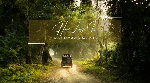 How Long Is Ranthambore Safari? Timings, Duration & Tips