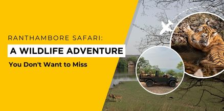 Ranthambore Safari: A Wildlife Adventure You Don't Want to Miss