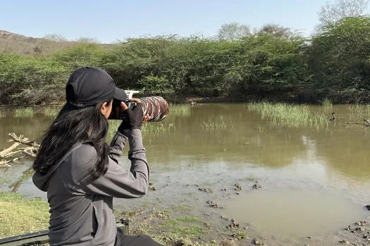 Wildlife Photography in Ranthambore National Park