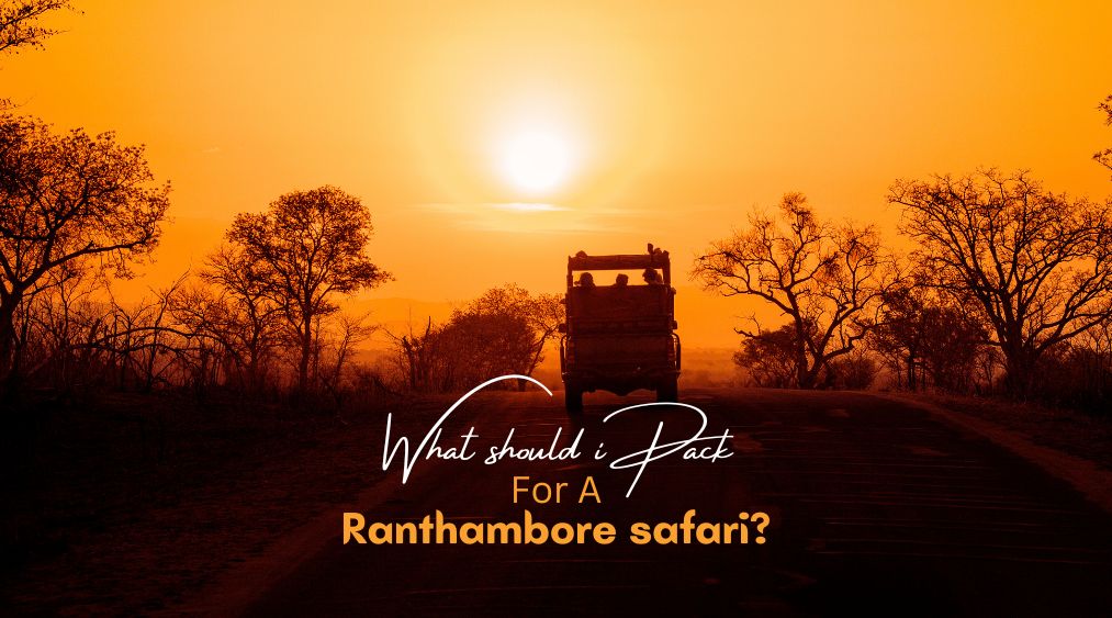 What should I pack for a Ranthambore safari?