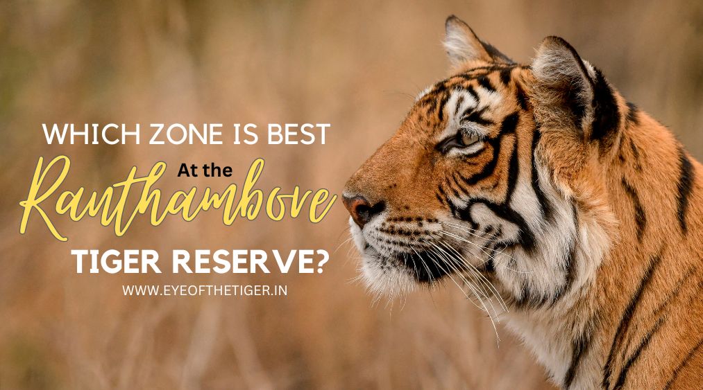 Which zone is best at the Ranthambore Tiger Reserve?